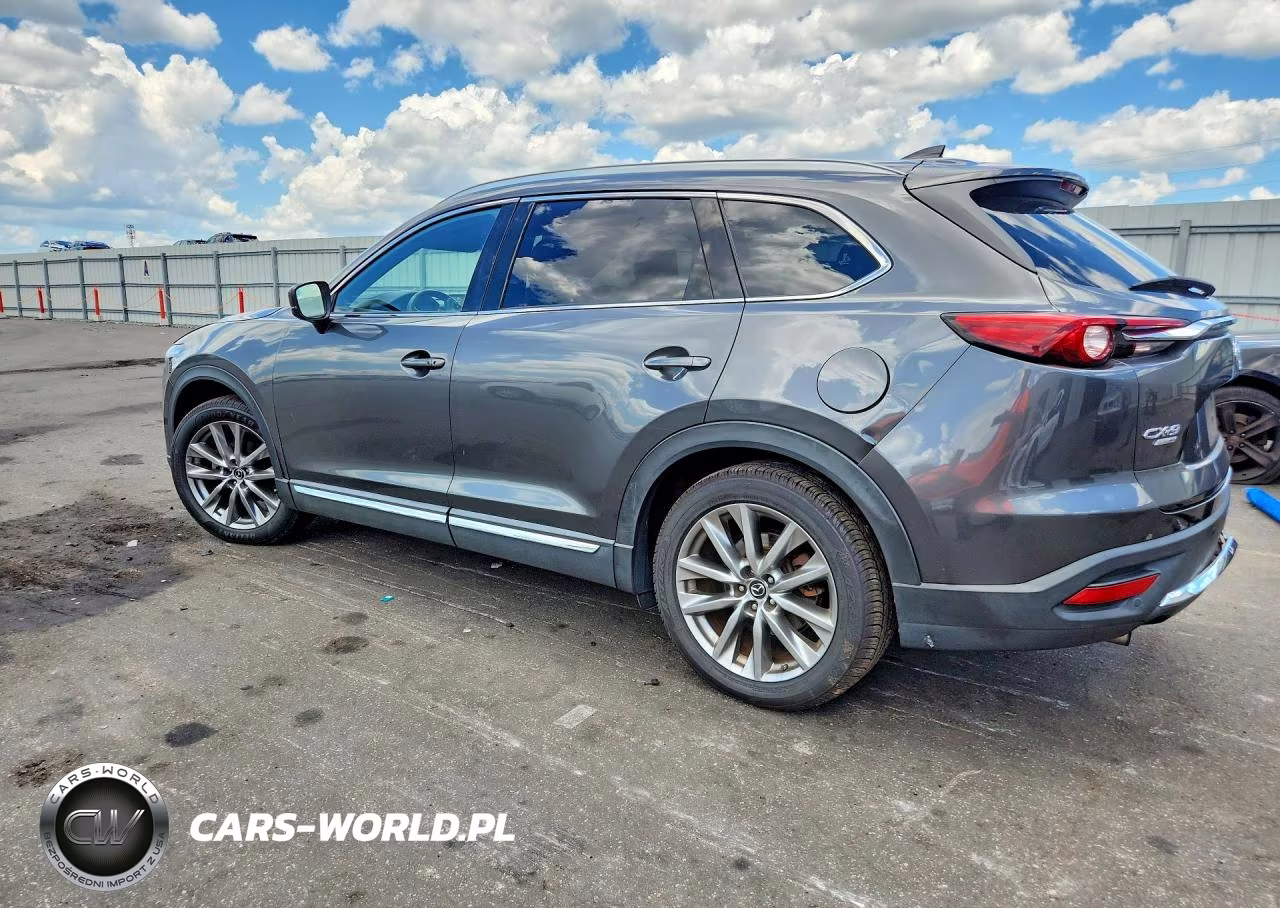 2019 Mazda Cx-9 Signature VIN:JM3TCBEY3K0313164 - 2