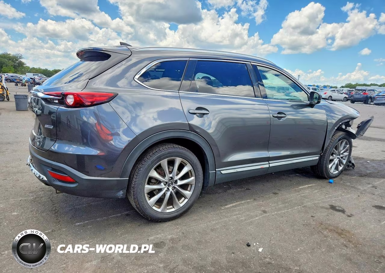 2019 Mazda Cx-9 Signature VIN:JM3TCBEY3K0313164 - 3