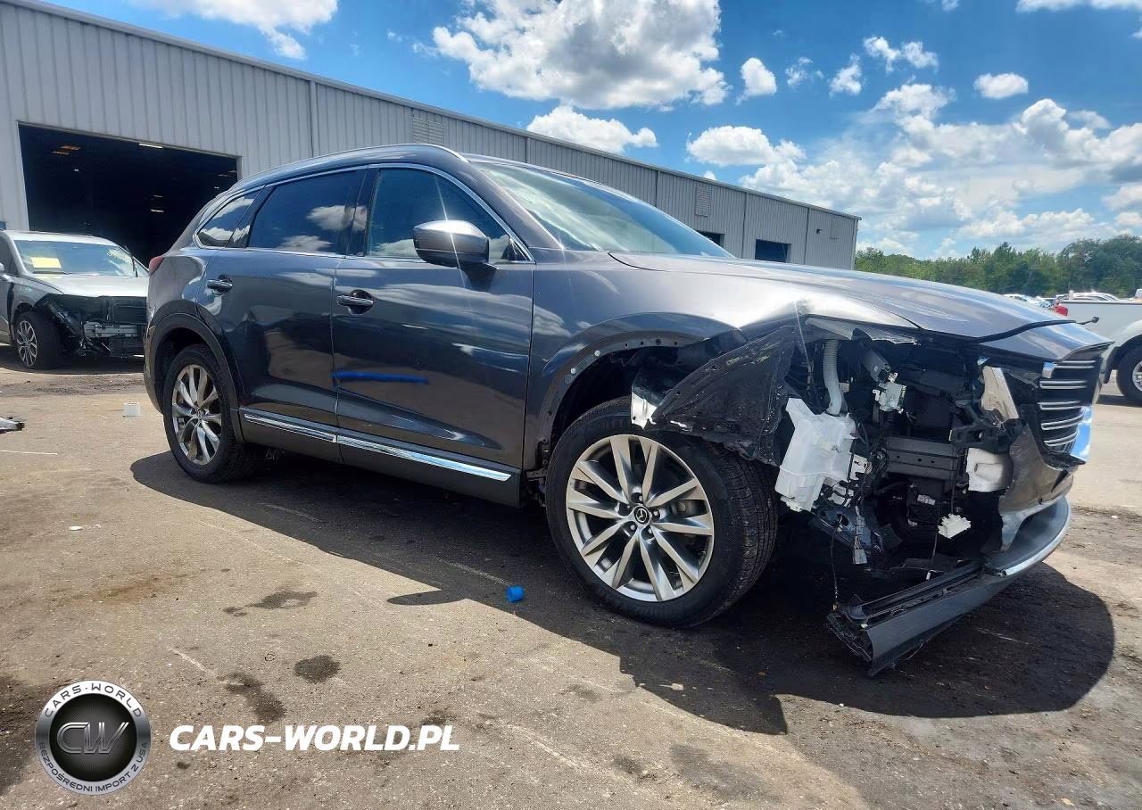2019 Mazda Cx-9 Signature VIN:JM3TCBEY3K0313164 - 4
