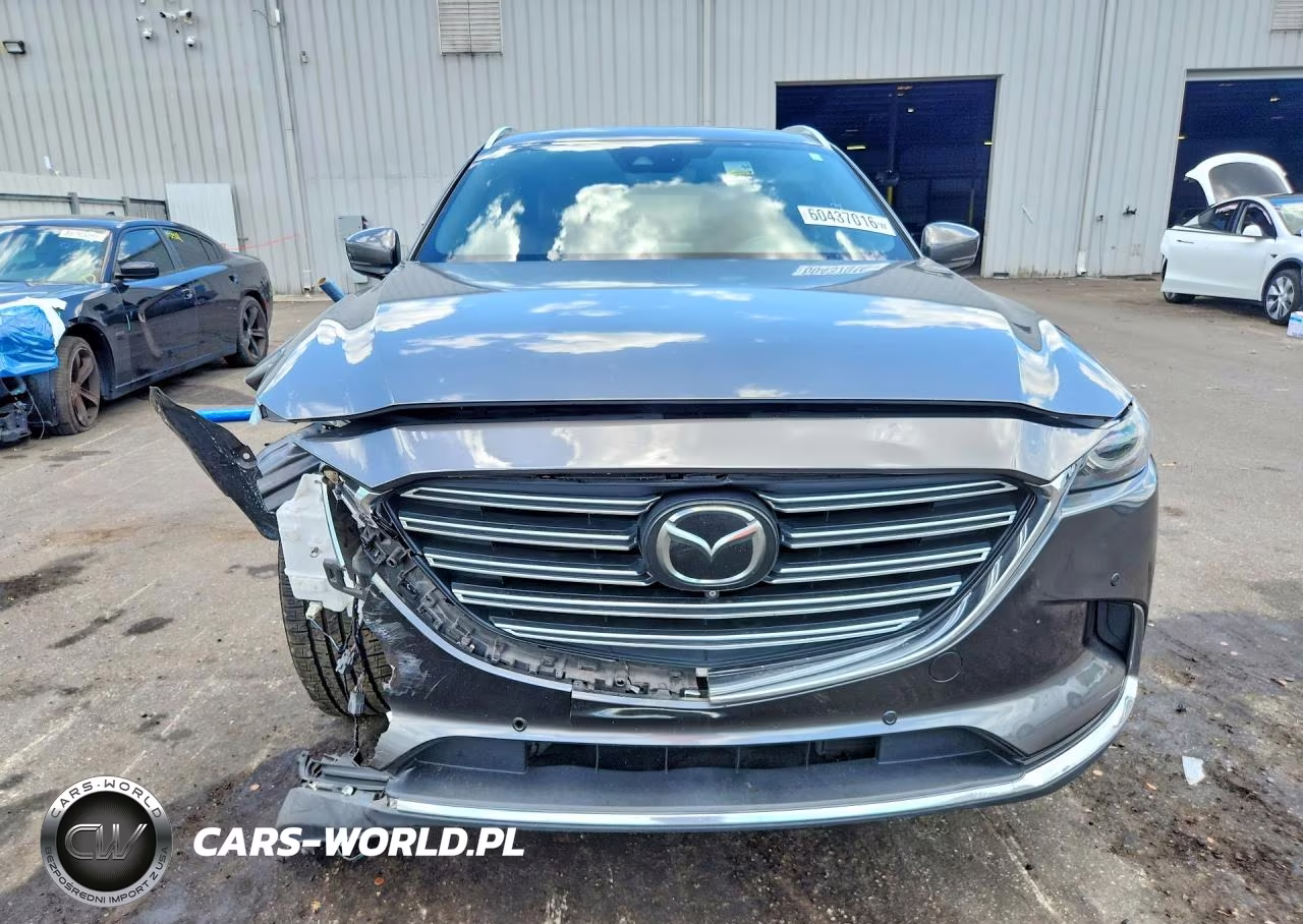 2019 Mazda Cx-9 Signature VIN:JM3TCBEY3K0313164 - 5