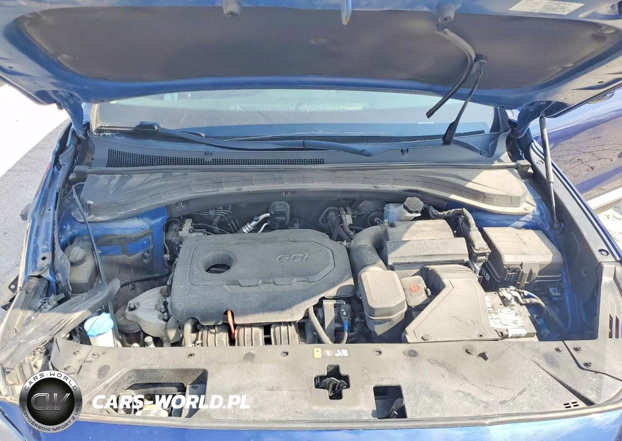2019 Hyundai Santa Fe Sel 2.4L VIN:5NMS3CAD6KH081902 - 12