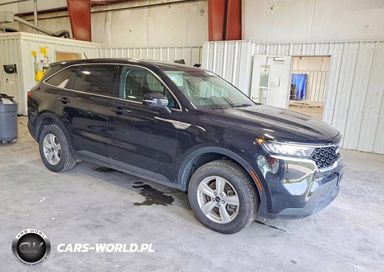 2022 Kia Sorento Lx VIN:5XYRGDLC1NG089529 - 4