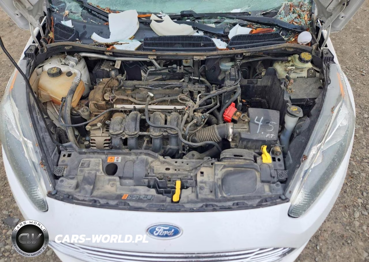 2014 Ford Fiesta Se VIN:3FADP4BJ5EM131316 - 11