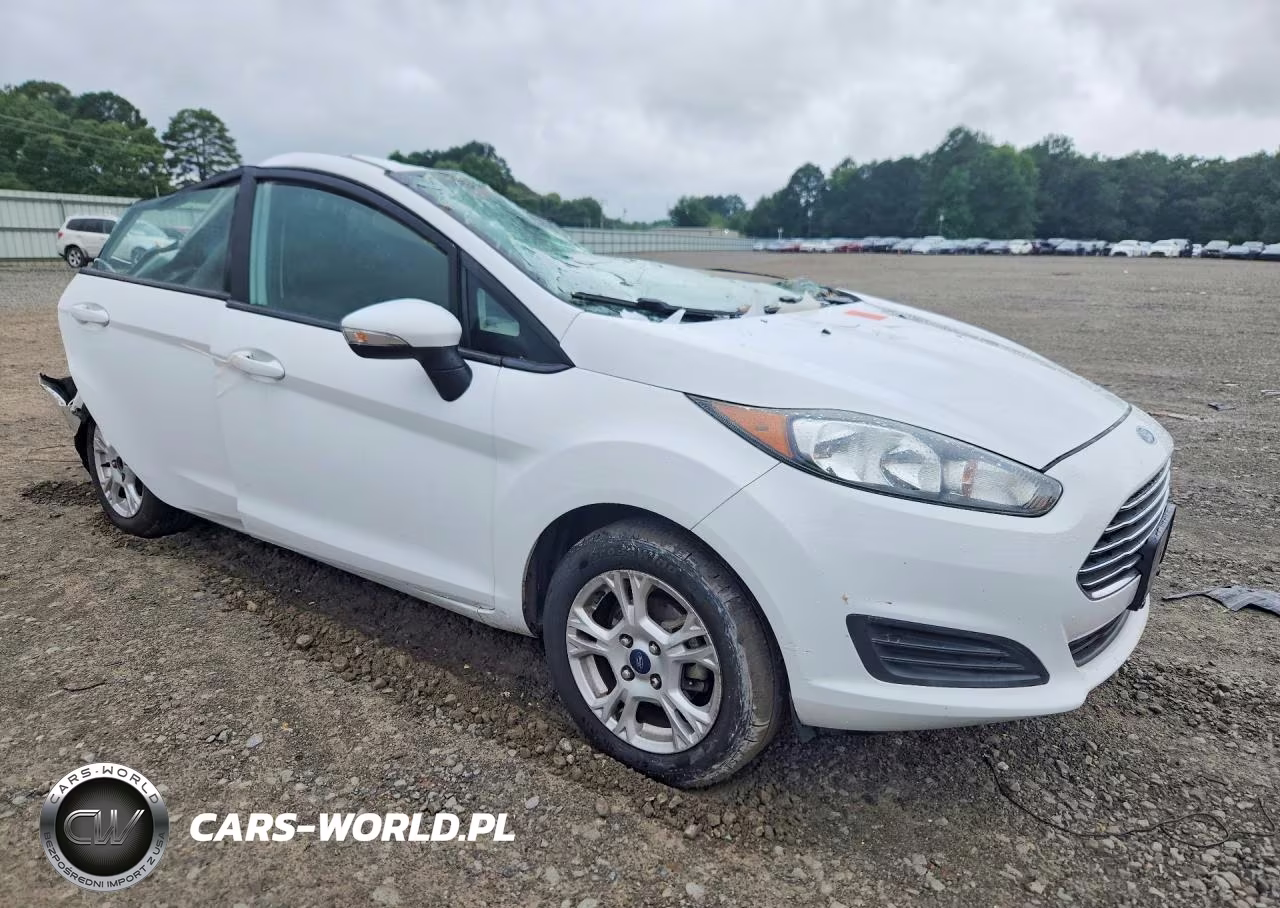 2014 Ford Fiesta Se VIN:3FADP4BJ5EM131316 - 4