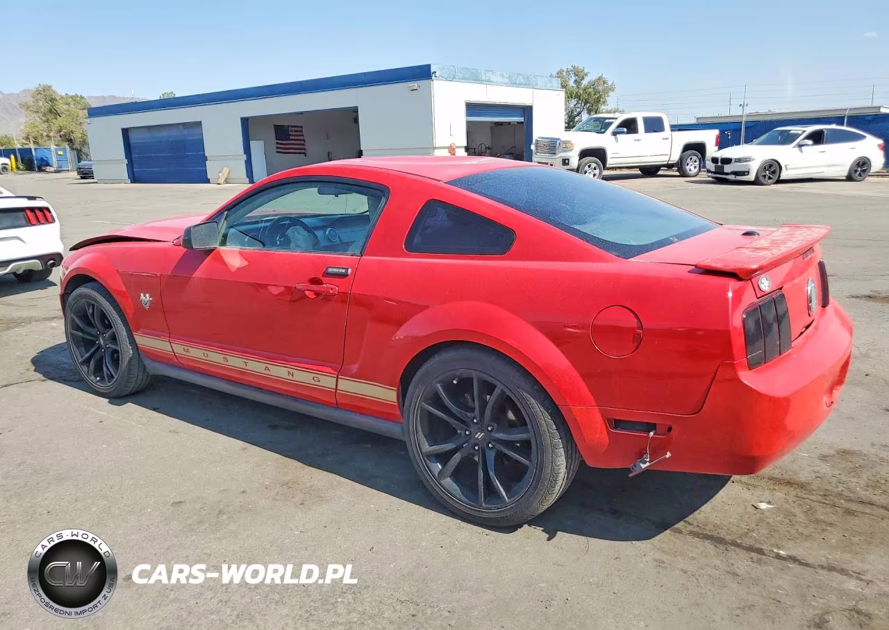 2009 Ford Mustang VIN:1ZVHT80N395140335 - 2