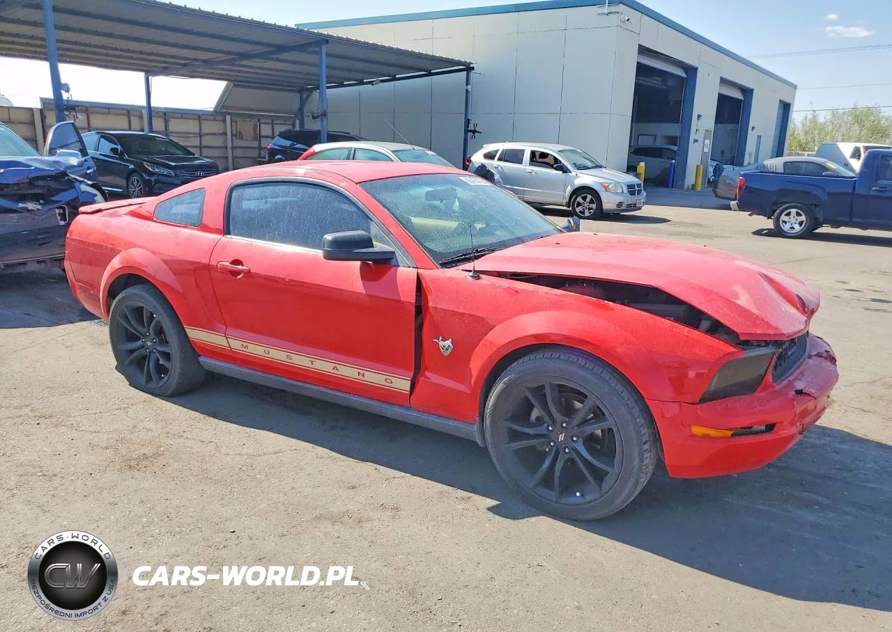 2009 Ford Mustang VIN:1ZVHT80N395140335 - 4