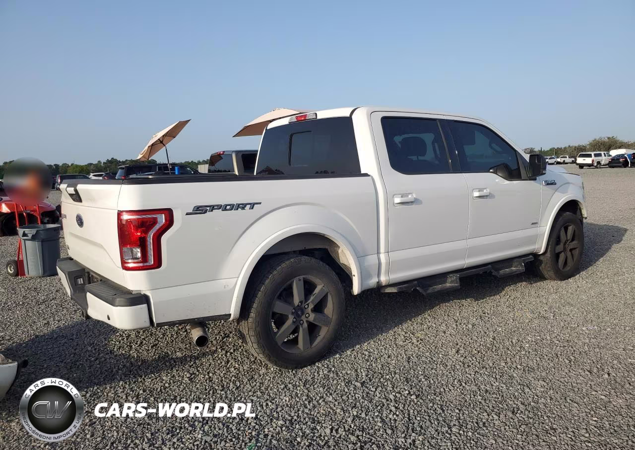 2017 Ford F150 Supercrew VIN:1FTEW1CP9HFC56990 - 3