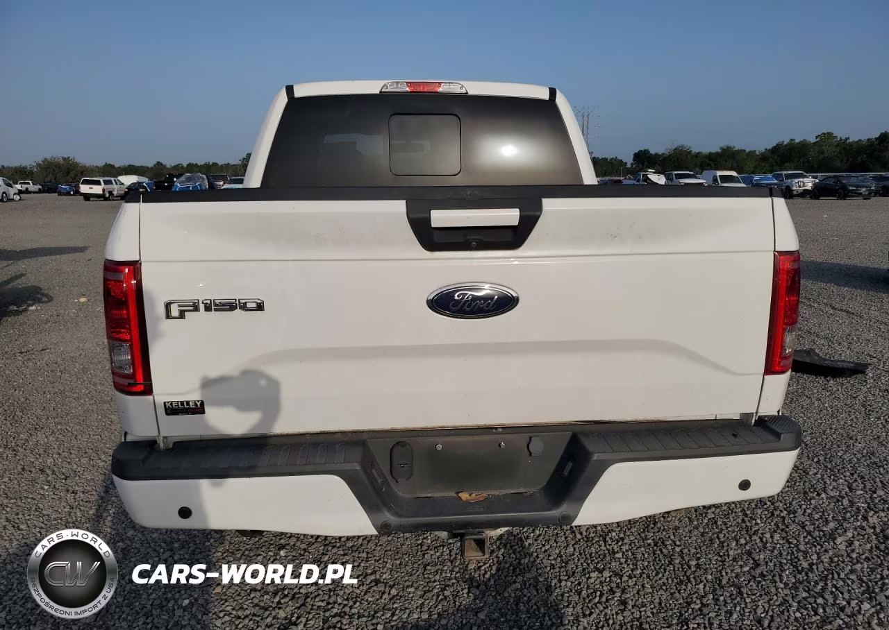 2017 Ford F150 Supercrew VIN:1FTEW1CP9HFC56990 - 6