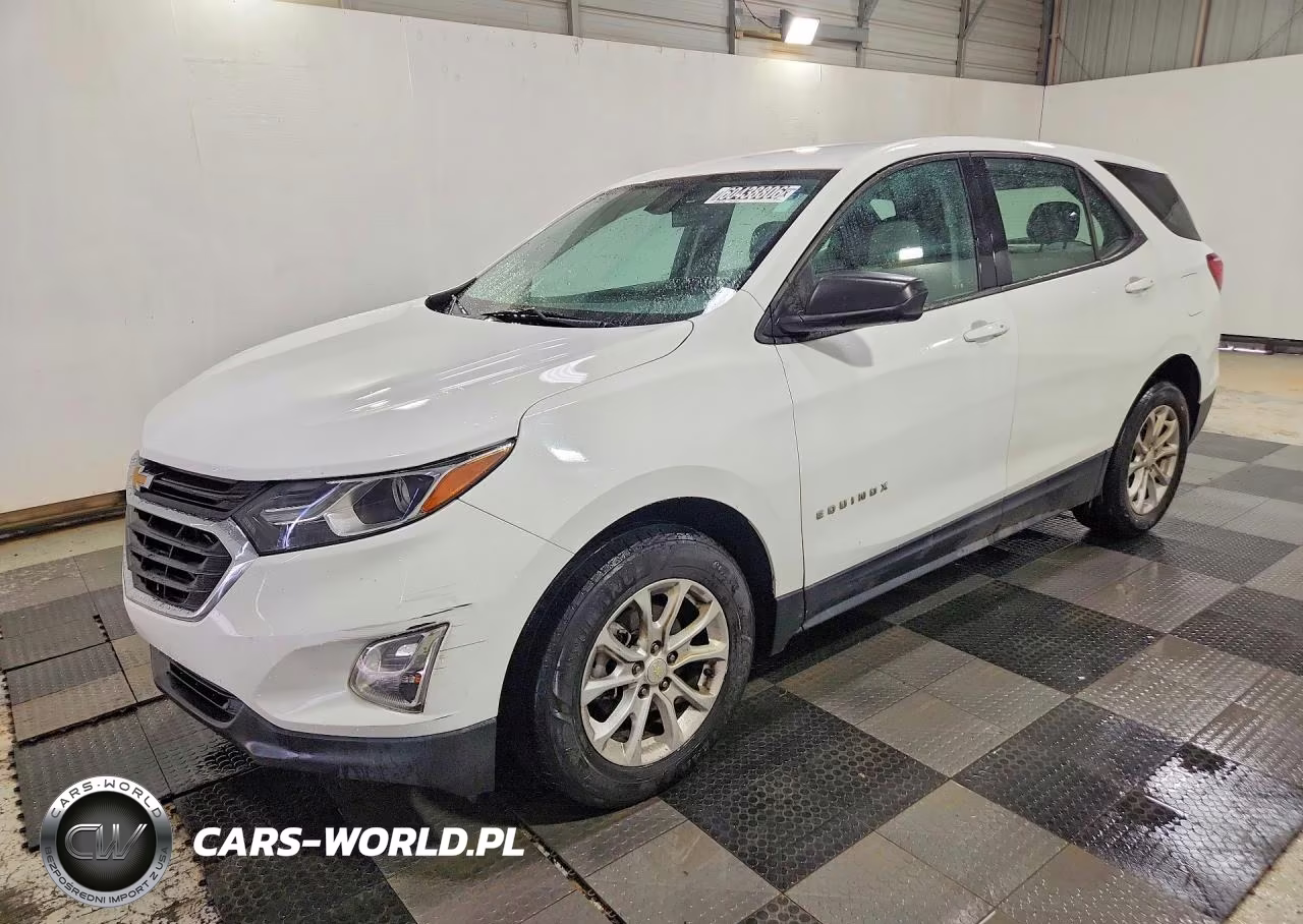 2019 Chevrolet Equinox Ls – zdjęcie 1 z 13