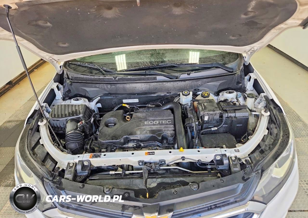 2019 Chevrolet Equinox Ls VIN:3GNAXHEV2KL234317 - 12