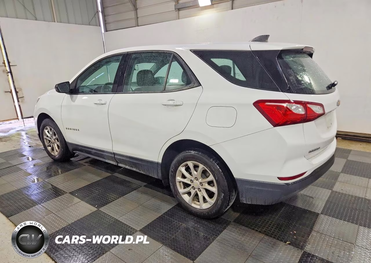 2019 Chevrolet Equinox Ls VIN:3GNAXHEV2KL234317 - 2