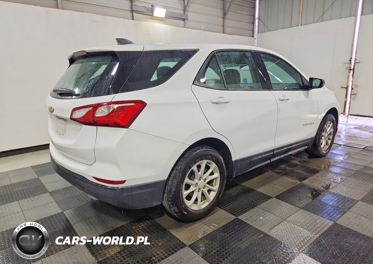 2019 Chevrolet Equinox Ls VIN:3GNAXHEV2KL234317 - 3