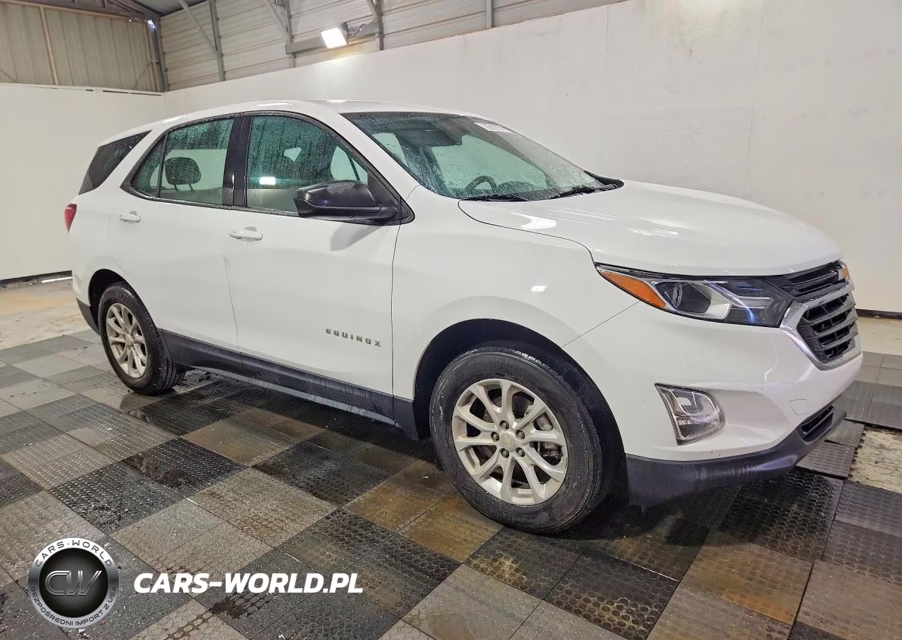 2019 Chevrolet Equinox Ls VIN:3GNAXHEV2KL234317 - 4