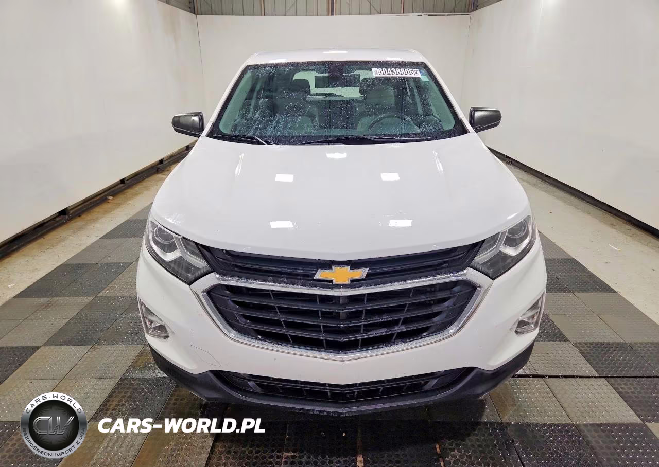 2019 Chevrolet Equinox Ls VIN:3GNAXHEV2KL234317 - 5