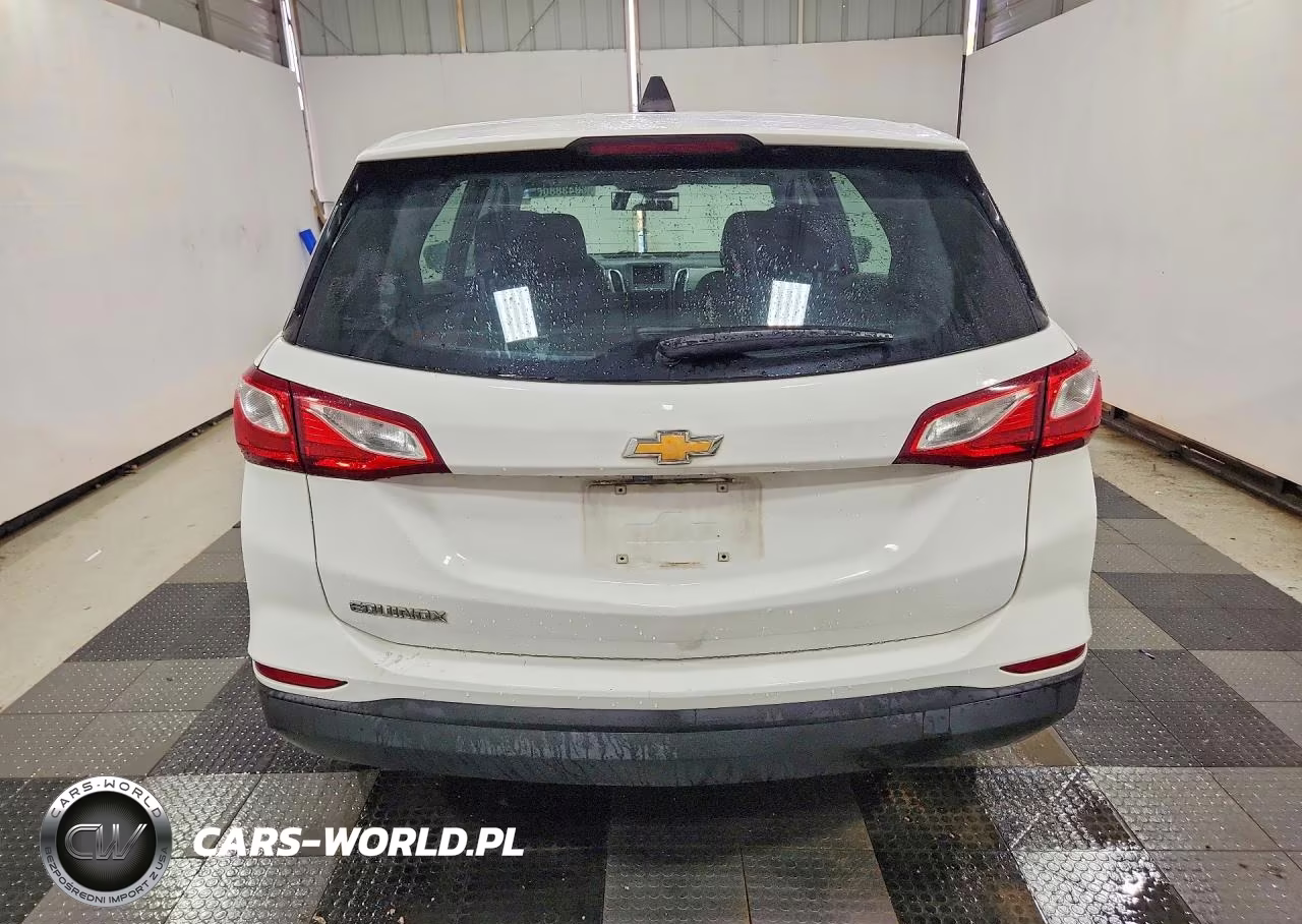 2019 Chevrolet Equinox Ls VIN:3GNAXHEV2KL234317 - 6