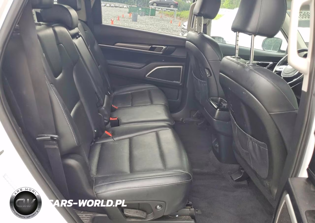 2020 Kia Telluride Lx VIN:5XYP2DHC2LG061718 - 11