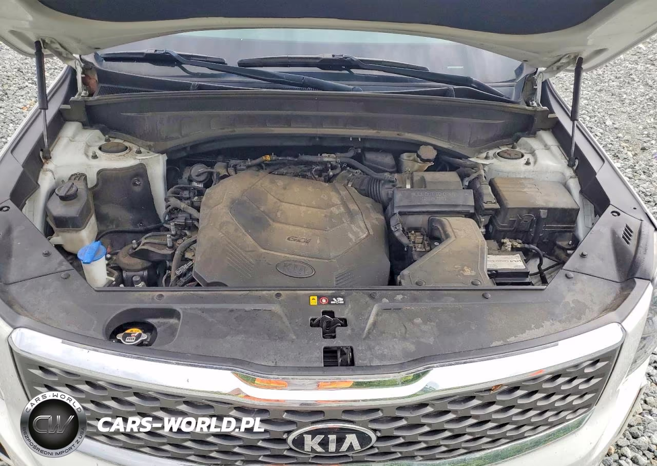 2020 Kia Telluride Lx VIN:5XYP2DHC2LG061718 - 12