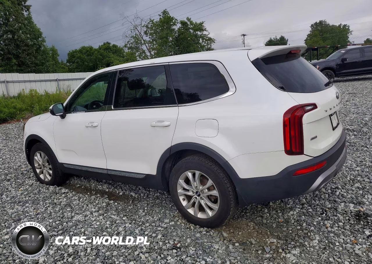 2020 Kia Telluride Lx VIN:5XYP2DHC2LG061718 - 2