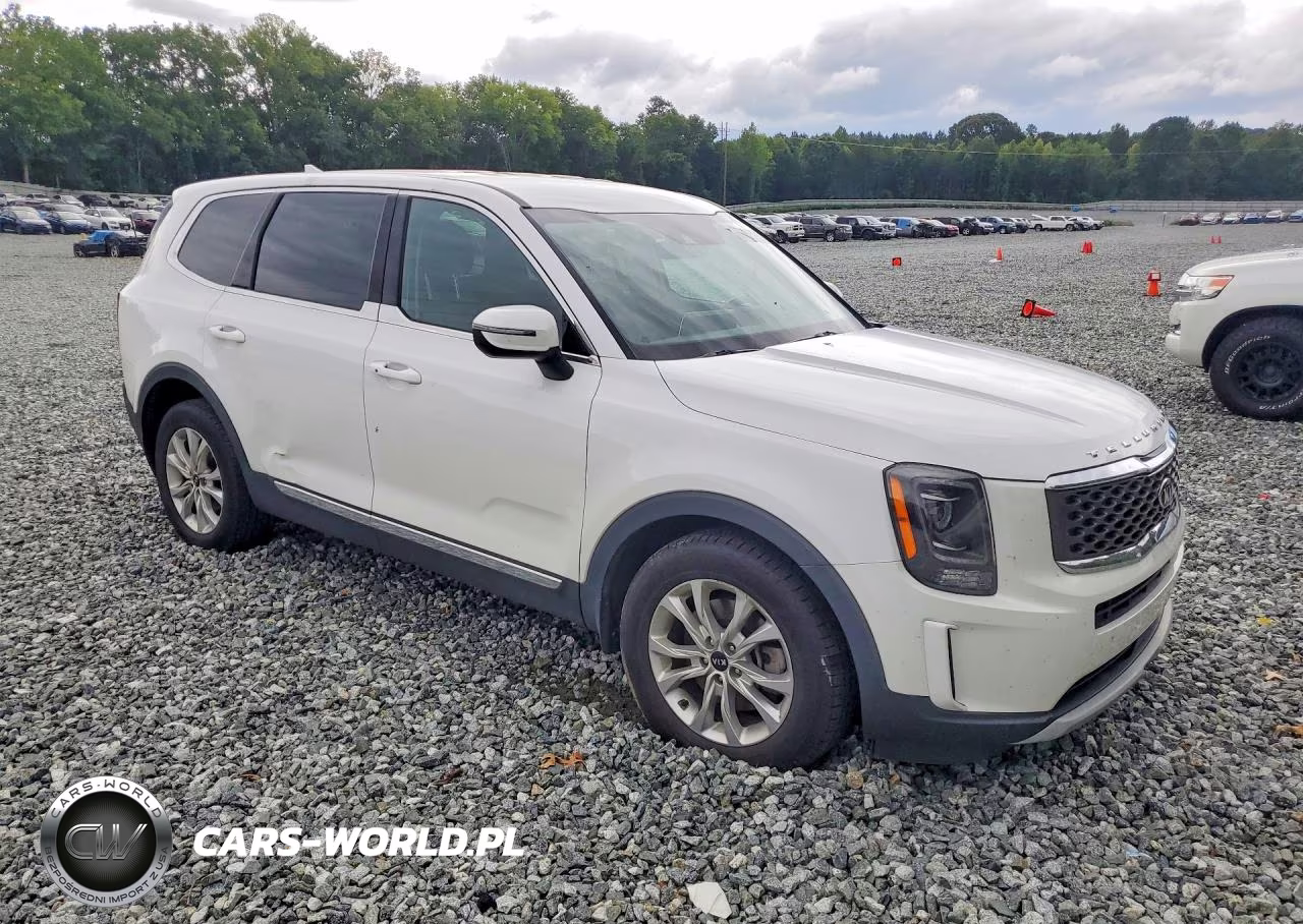 2020 Kia Telluride Lx VIN:5XYP2DHC2LG061718 - 4