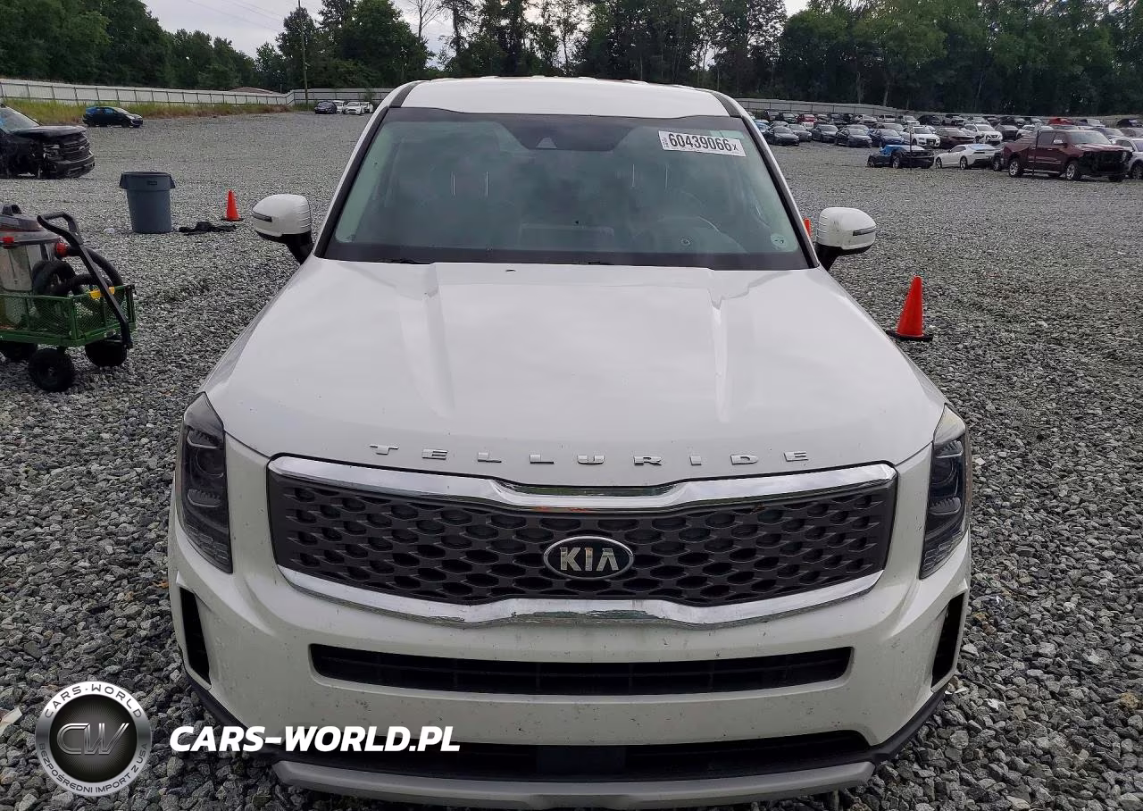 2020 Kia Telluride Lx VIN:5XYP2DHC2LG061718 - 5
