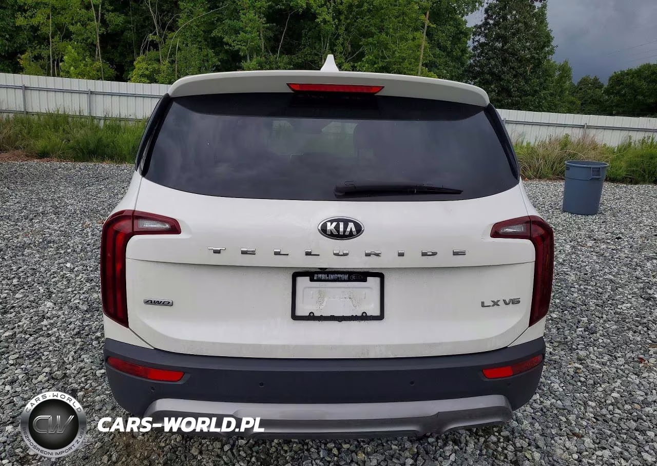 2020 Kia Telluride Lx VIN:5XYP2DHC2LG061718 - 6