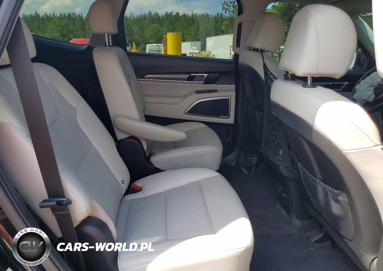 2022 Kia Telluride S VIN:5XYP64HC1NG260900 - 10