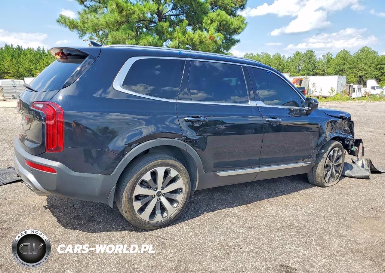 2022 Kia Telluride S VIN:5XYP64HC1NG260900 - 3