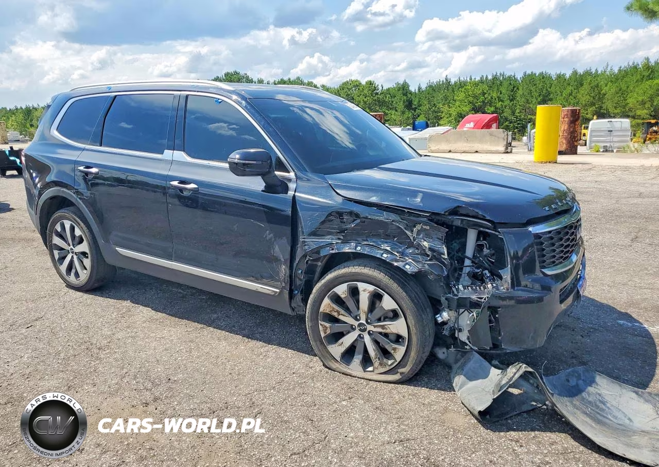 2022 Kia Telluride S VIN:5XYP64HC1NG260900 - 4