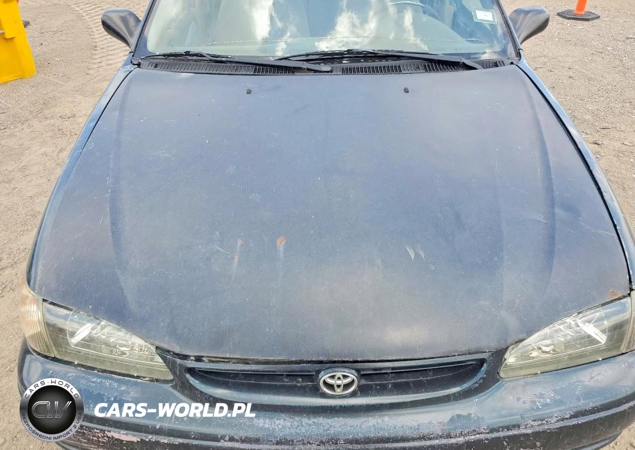 1999 Toyota Corolla Ve VIN:1NXBR12E9XZ159823 - 11