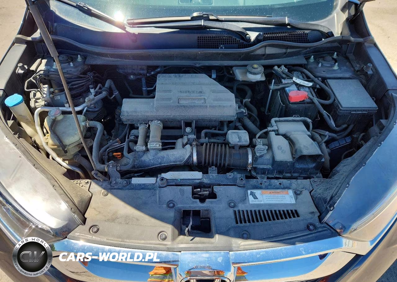 2019 Honda Cr-V Ex VIN:JHLRW2H58KX008961 - 12
