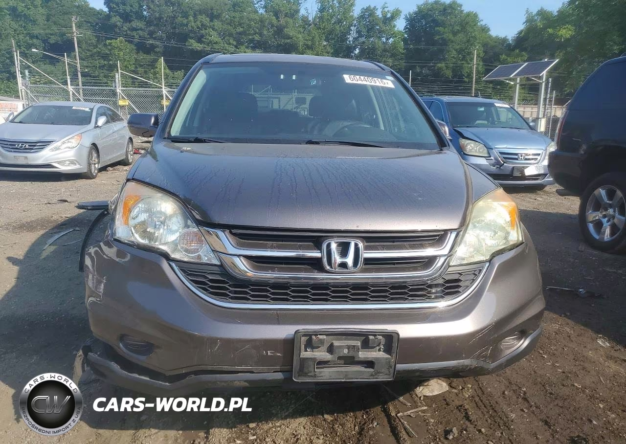 2010 Honda Cr-V Exl VIN:5J6RE4H79AL060628 - 5