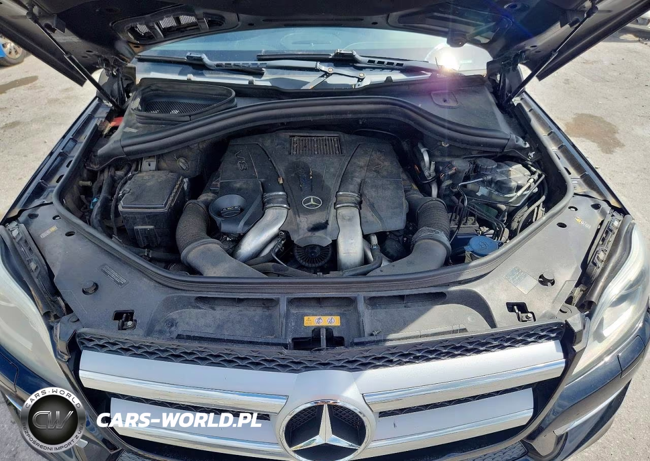 2013 Mercedes-Benz Gl 450 4Matic VIN:4JGDF7CE9DA254334 - 12