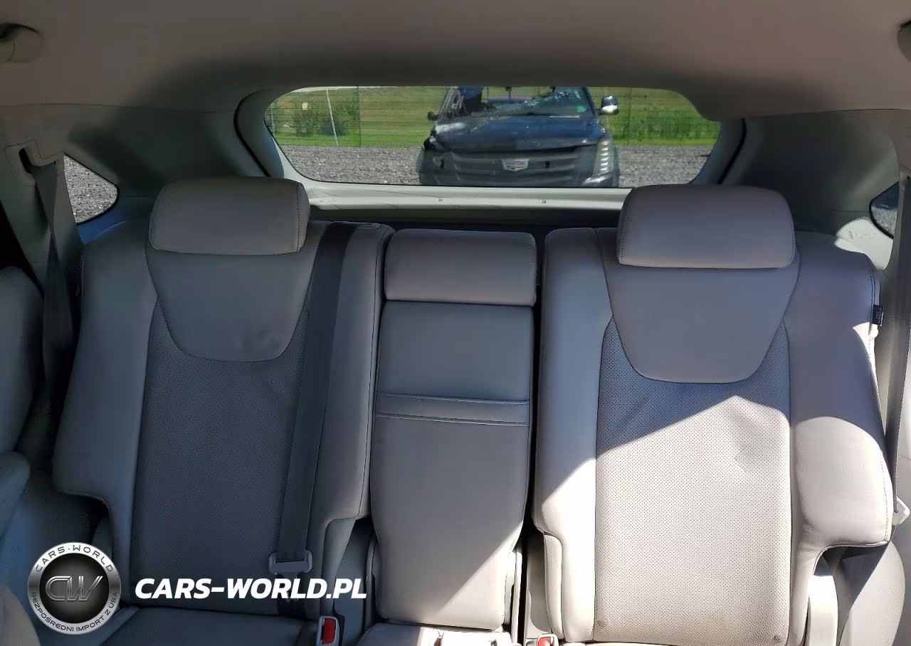2010 Lexus Rx 350 VIN:JTJZK1BA8A2400632 - 10