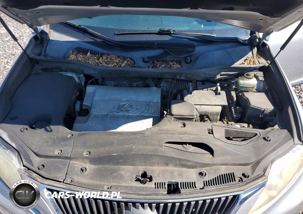 2010 Lexus Rx 350 VIN:JTJZK1BA8A2400632 - 12