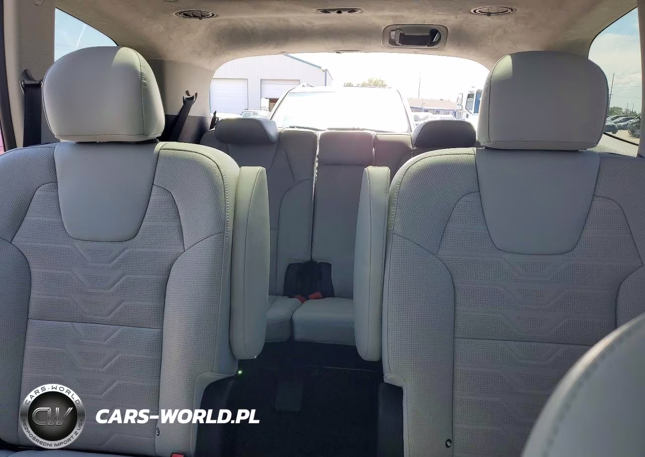 2021 Kia Telluride Sx VIN:5XYP5DHC7MG128371 - 10