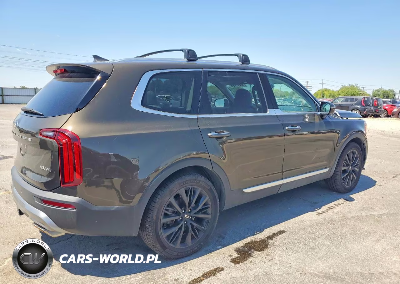 2021 Kia Telluride Sx VIN:5XYP5DHC7MG128371 - 3