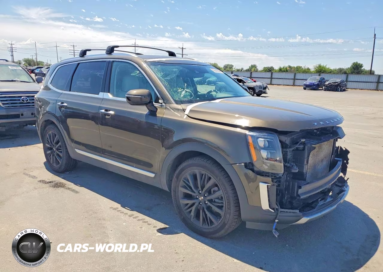 2021 Kia Telluride Sx VIN:5XYP5DHC7MG128371 - 4
