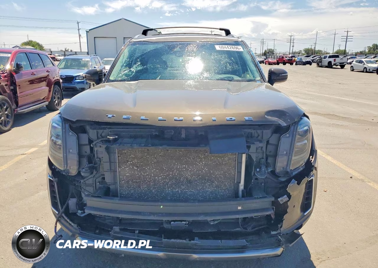 2021 Kia Telluride Sx VIN:5XYP5DHC7MG128371 - 5