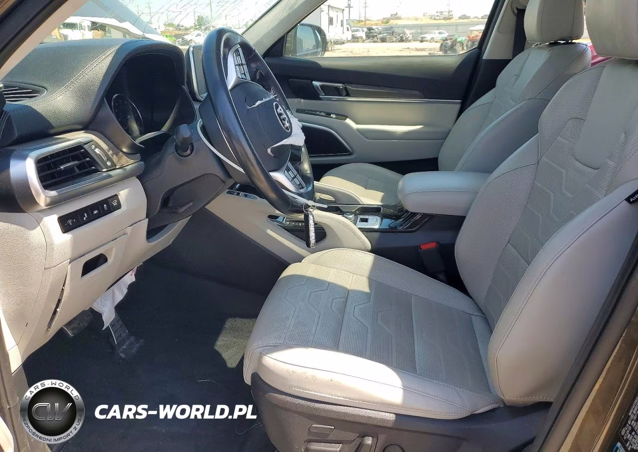 2021 Kia Telluride Sx VIN:5XYP5DHC7MG128371 - 7