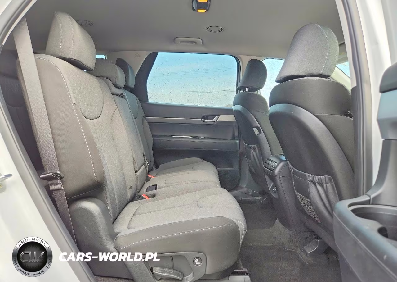 2020 Hyundai Palisade Se VIN:KM8R14HE3LU052369 - 11
