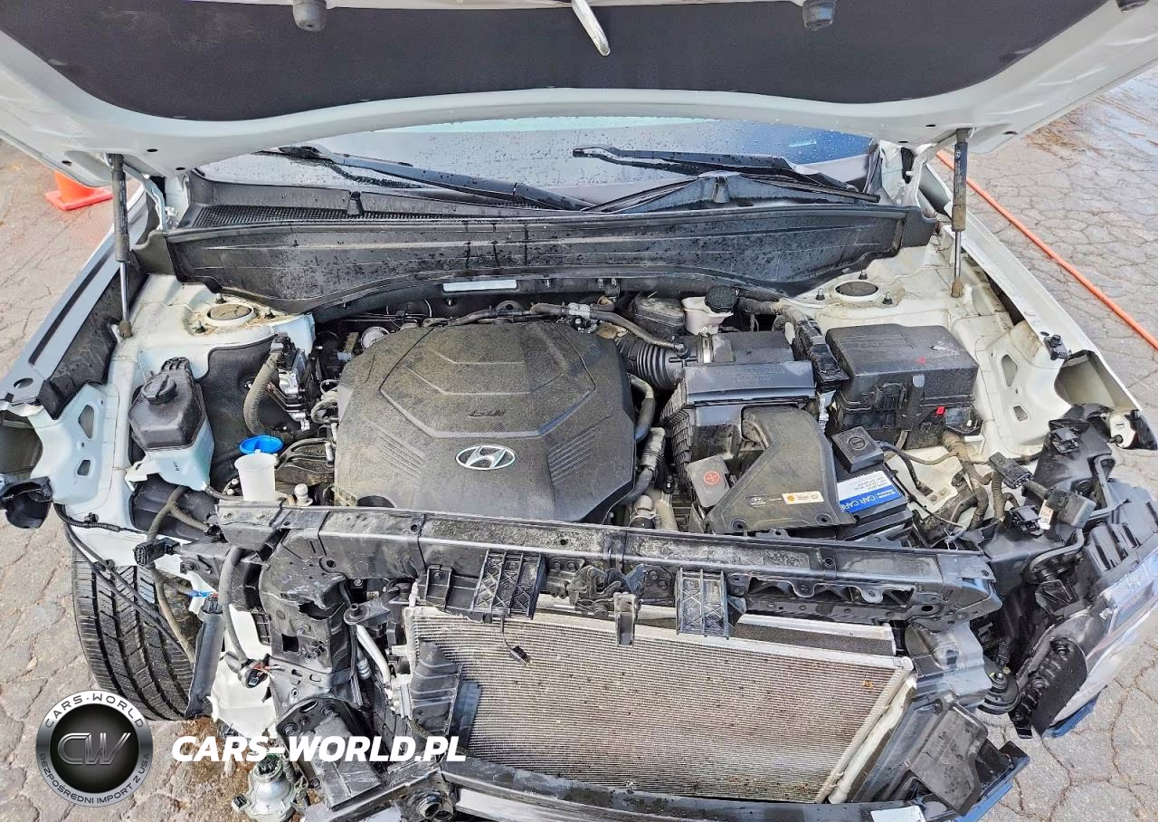 2020 Hyundai Palisade Se VIN:KM8R14HE3LU052369 - 12