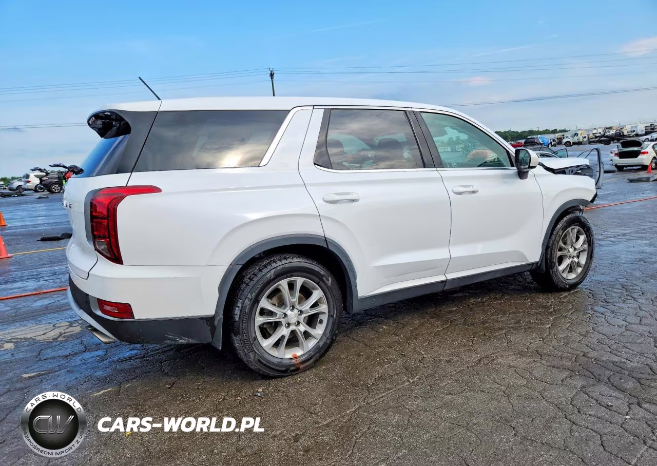 2020 Hyundai Palisade Se VIN:KM8R14HE3LU052369 - 3