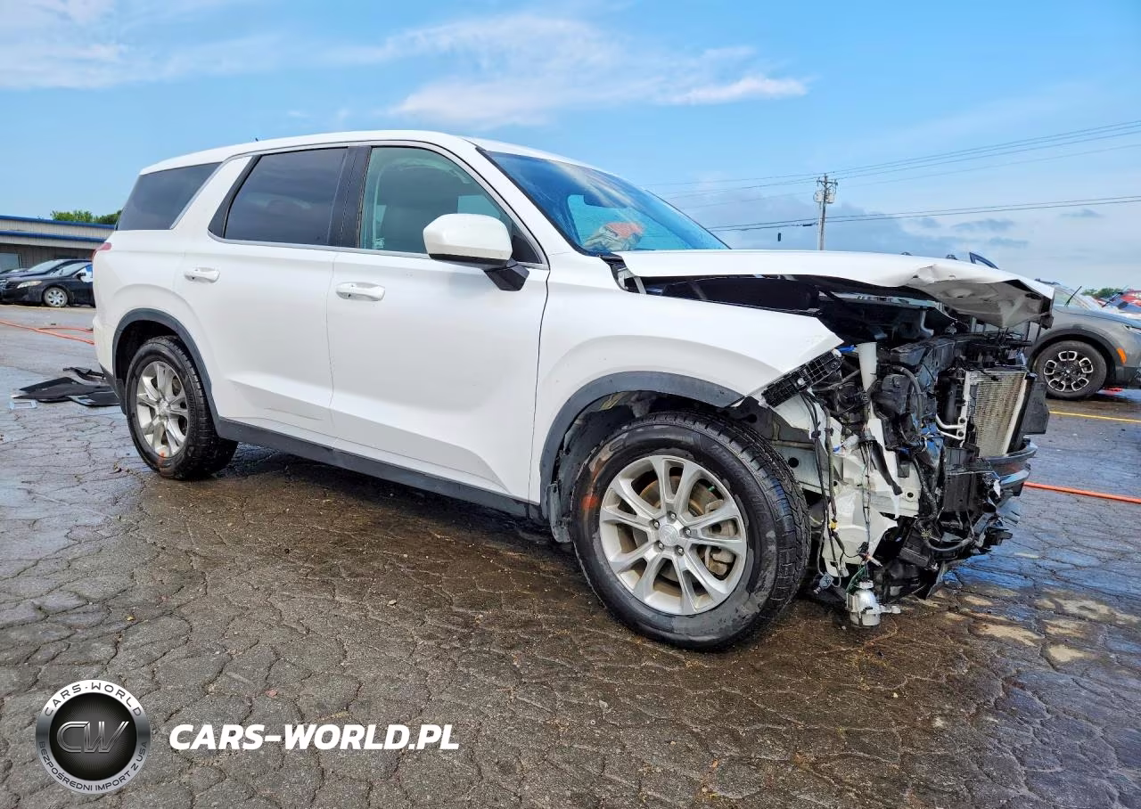 2020 Hyundai Palisade Se VIN:KM8R14HE3LU052369 - 4