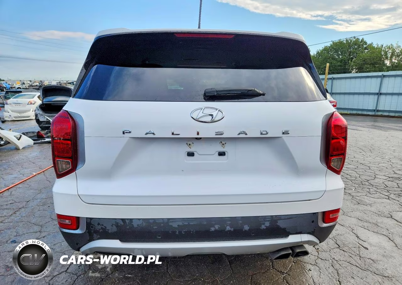 2020 Hyundai Palisade Se VIN:KM8R14HE3LU052369 - 6