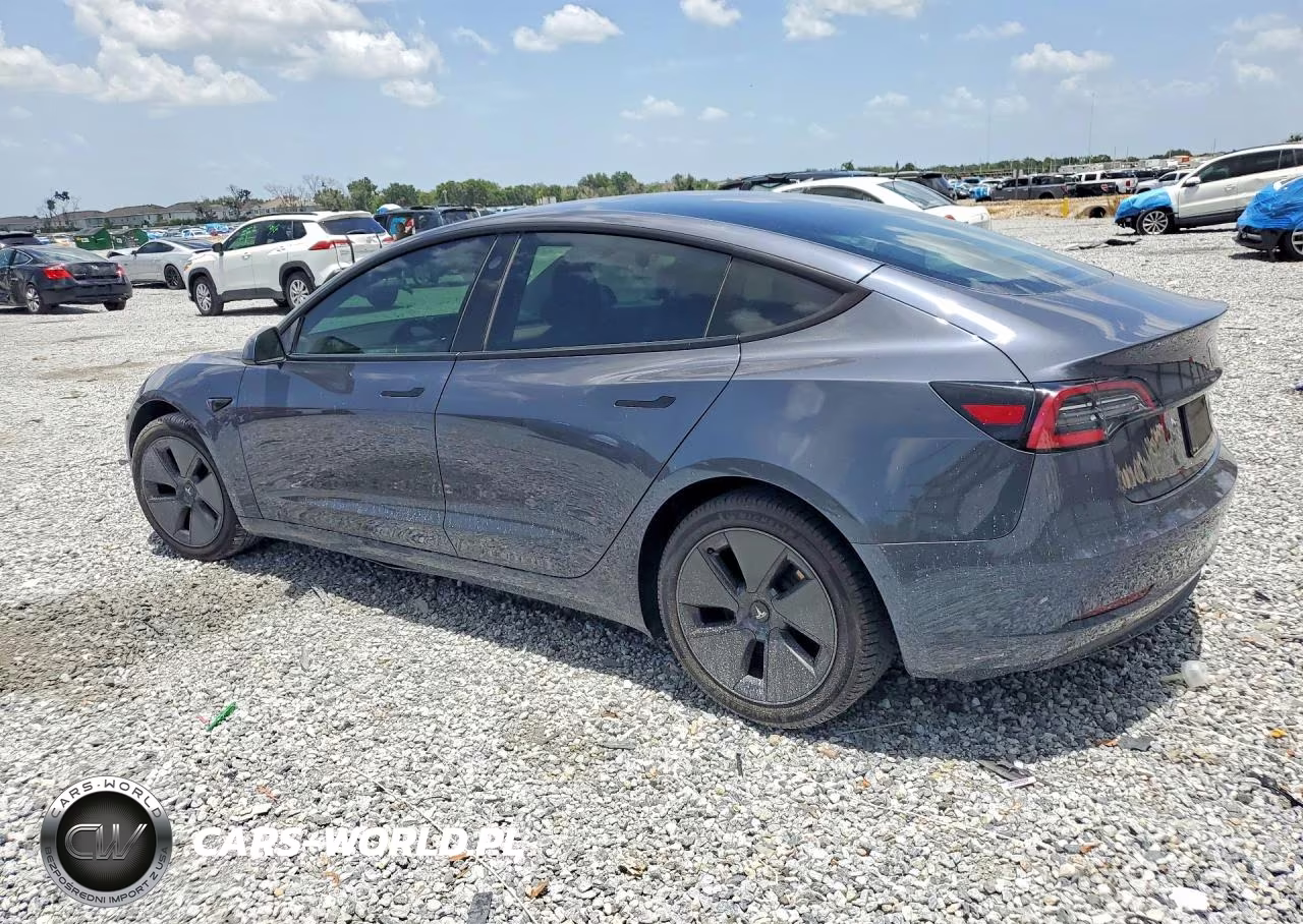 2021 Tesla Model 3 VIN:5YJ3E1EB4MF919120 - 2