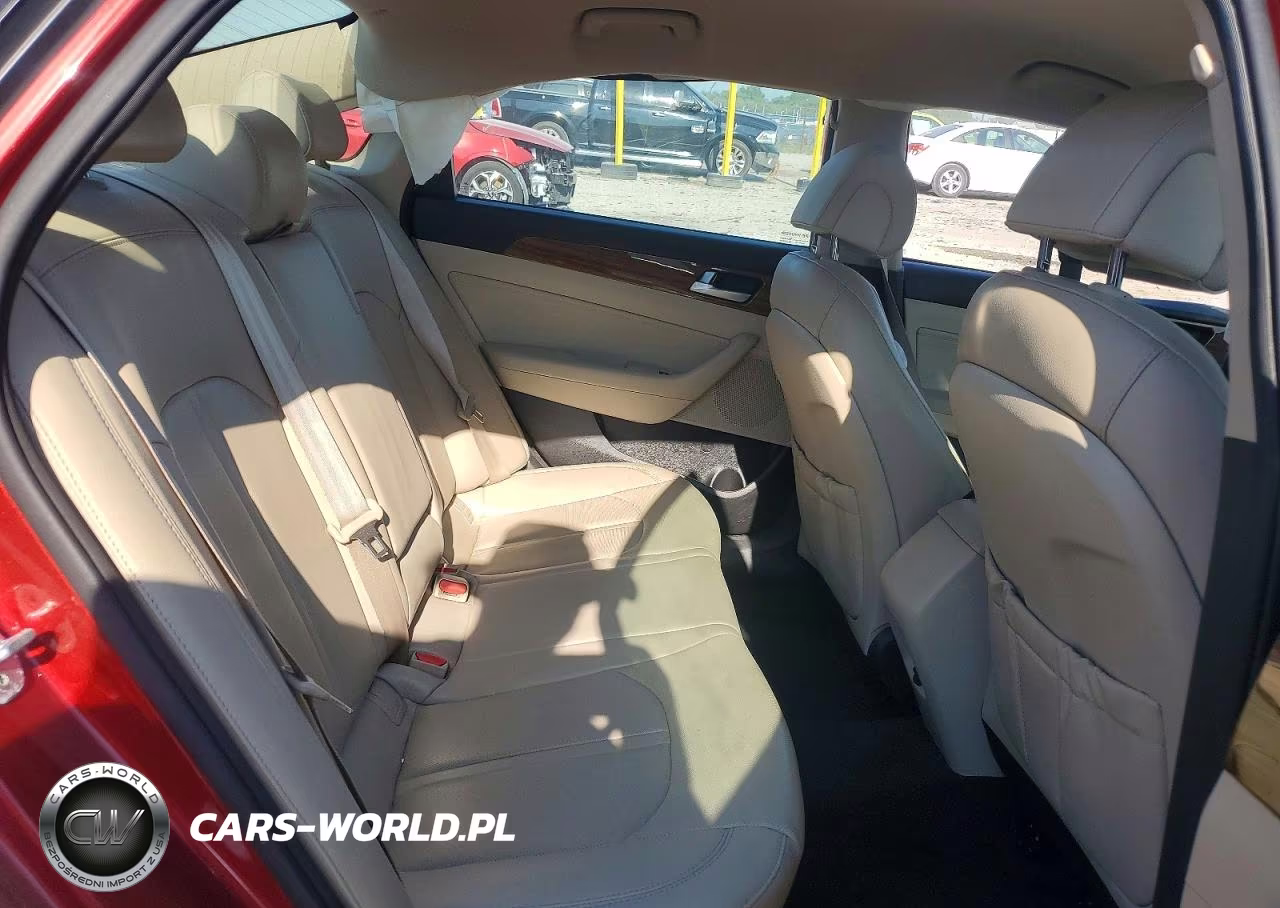 2015 Hyundai Sonata Eco VIN:5NPE24AA6FH222097 - 10