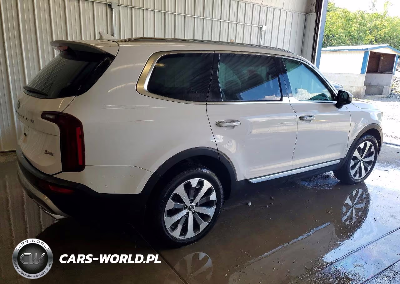 2021 Kia Telluride S VIN:5XYP6DHCXMG148272 - 3