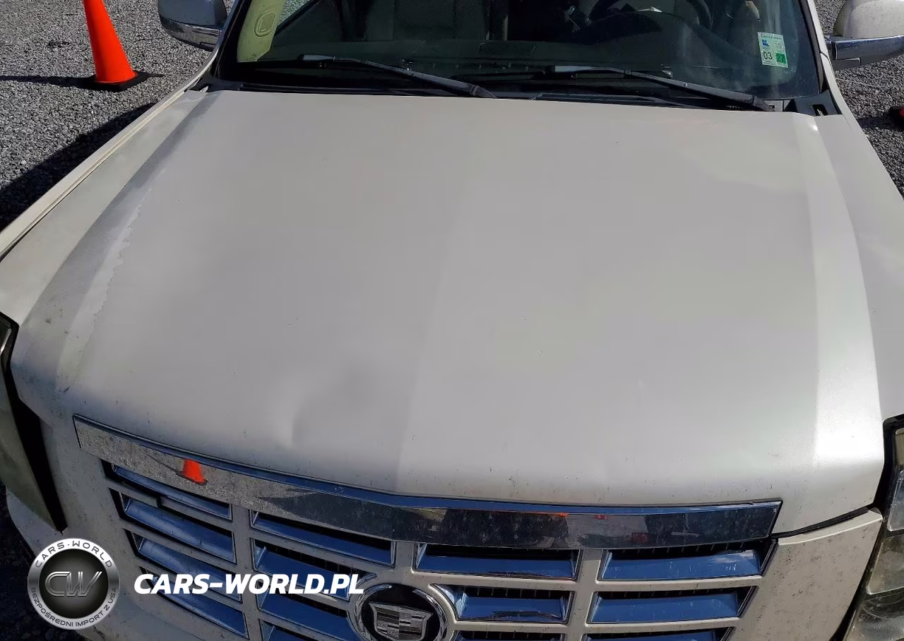 2007 Cadillac Escalade Luxury VIN:1GYFK63807R201292 - 12