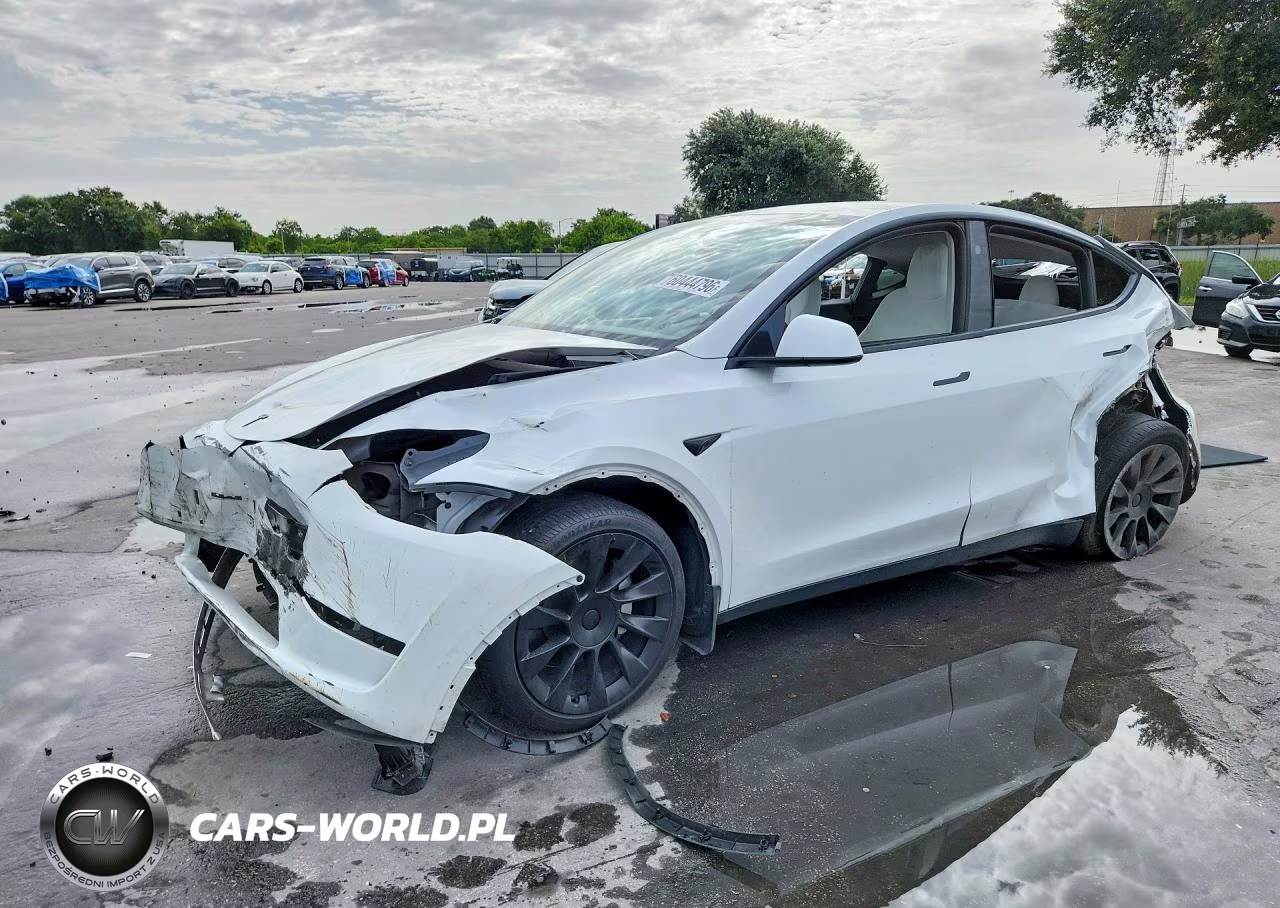 2024 Tesla Model Y VIN:7SAYGDED7RF102592 - 1