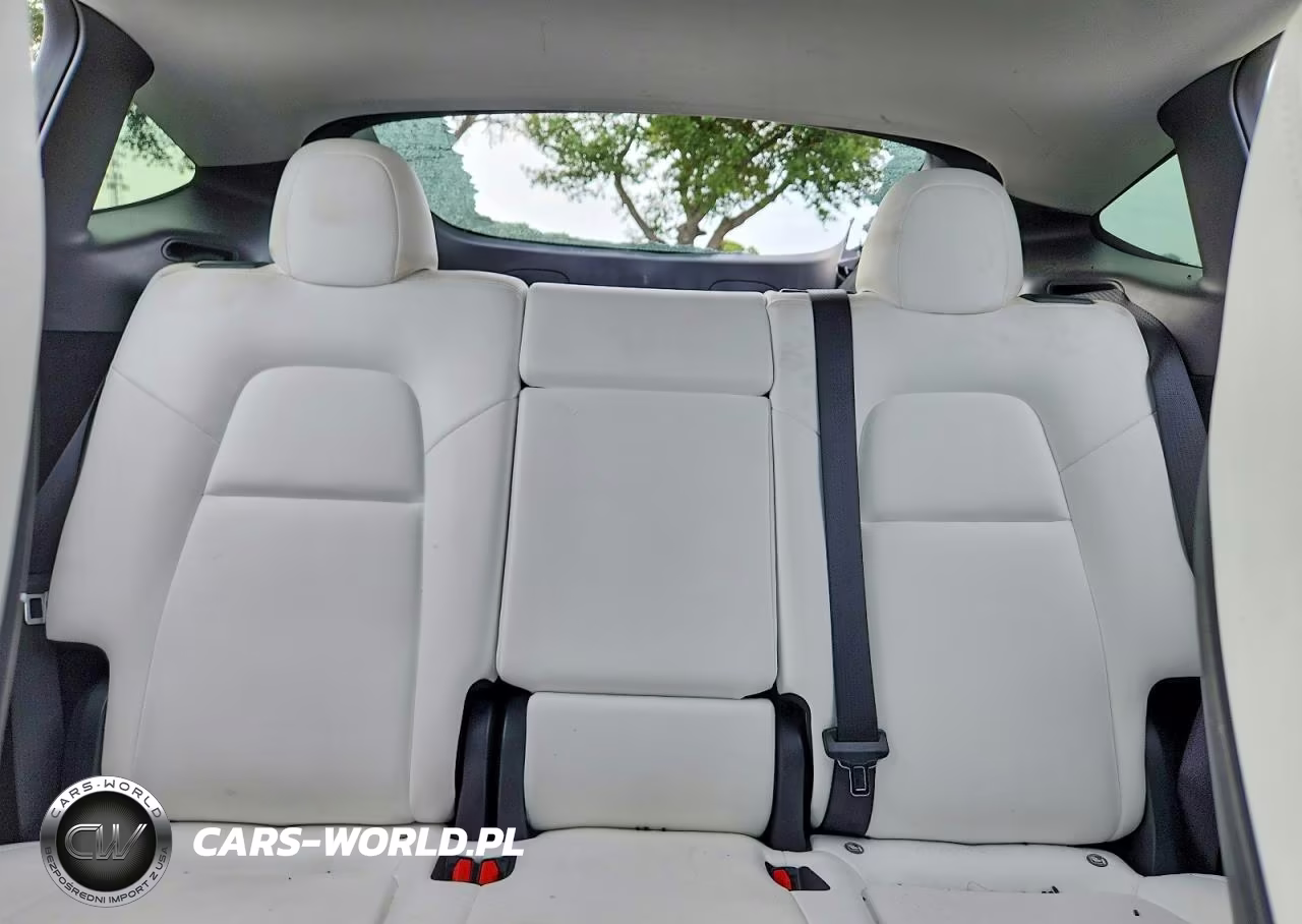 2024 Tesla Model Y VIN:7SAYGDED7RF102592 - 10